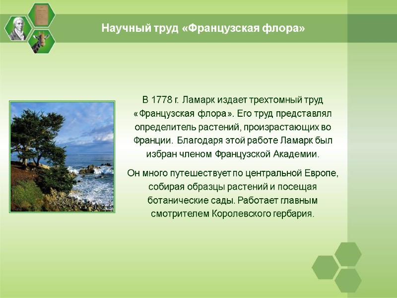 Научный труд «Французская флора» В 1778 г. Ламарк издает трехтомный труд «Французская флора». Его
